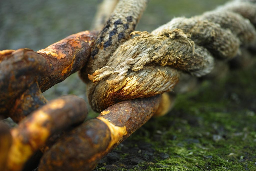 Bild von Engin Akyurt auf Pixabay